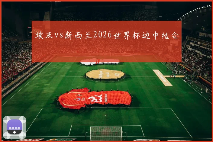 埃及vs新西兰2026世界杯边中结合