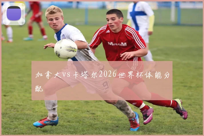 加拿大vs卡塔尔2026世界杯体能分配