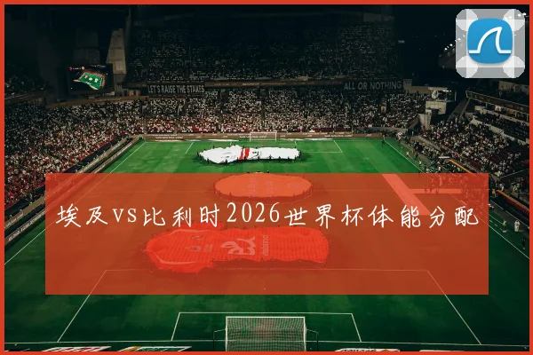 埃及vs比利时2026世界杯体能分配