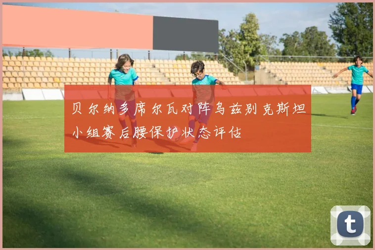 贝尔纳多席尔瓦对阵乌兹别克斯坦小组赛后腰保护状态评估