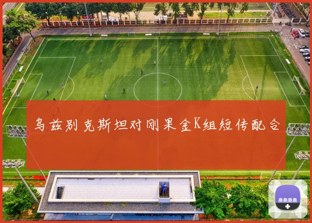 乌兹别克斯坦对刚果金K组短传配合