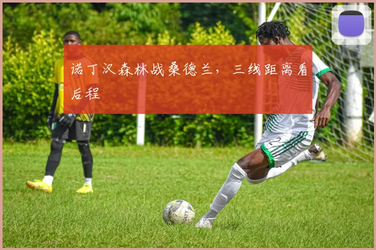 诺丁汉森林战桑德兰，三线距离看后程