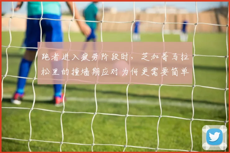 跑者进入疲劳阶段时,芝加哥马拉松里的撞墙期应对为何更需要简单原则