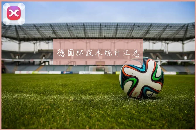 德国杯技术统计汇总