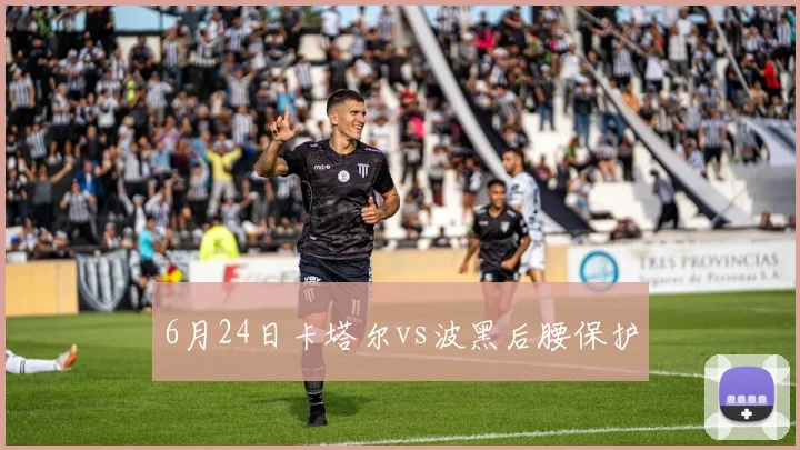 6月24日卡塔尔vs波黑后腰保护