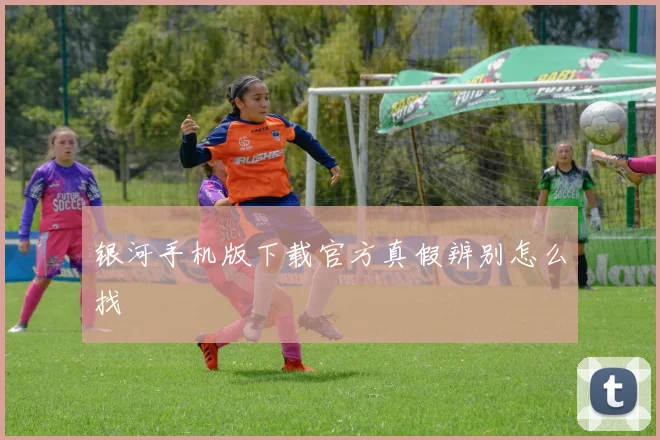 银河手机版下载官方真假辨别怎么找
